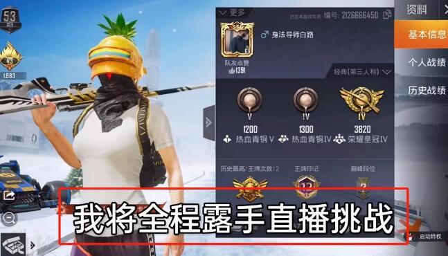 和平精英《牛牛》辅助